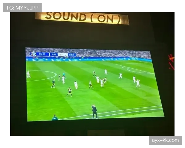 欧洲杯安保全面升级，筑牢安全防线护航球迷观赛体验